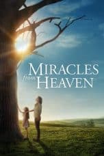 Nonton film Miracles from Heaven (2016) idlix , lk21, dutafilm, dunia21