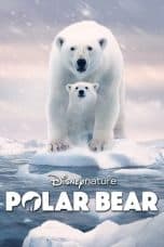 Nonton film Polar Bear (2022) idlix , lk21, dutafilm, dunia21