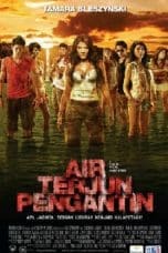 Nonton film Air Terjun Pengantin (2009) idlix , lk21, dutafilm, dunia21