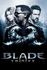 Nonton film Blade: Trinity (2004) idlix , lk21, dutafilm, dunia21
