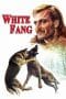 Nonton film White Fang (1973) idlix , lk21, dutafilm, dunia21