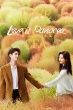 Nonton film Love is Panacea ( 2023) idlix , lk21, dutafilm, dunia21