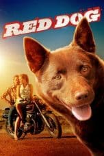 Nonton film Red Dog (2011) idlix , lk21, dutafilm, dunia21