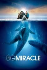 Nonton film Big Miracle (2012) idlix , lk21, dutafilm, dunia21