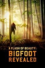 Nonton film A Flash of Beauty: Bigfoot Revealed (2022) idlix , lk21, dutafilm, dunia21